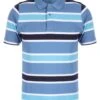 Blue Stripe Polo