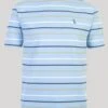 Blue Stripe Crew Neck T Shirt