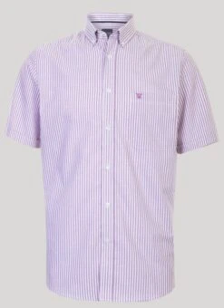Short Sleeve Stripe Oxford Shirt