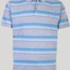 Engineered Stripe Polo Shirt