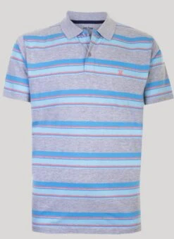 Engineered Stripe Polo Shirt