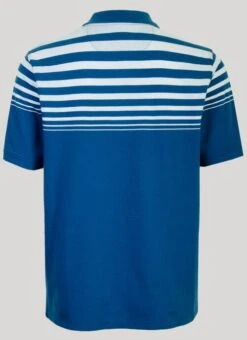 Gradient Stripe Polo Shirt -Outlet The Wardrobe Edit Store 41046pvs c8c04cf3dafe95b