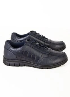 Navy Snake Lace-Up Trainer -Outlet The Wardrobe Edit Store 43477pvs a41bb7acaba7023